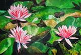 Water lilies in our district channel near House. oil on linnen 150 x 100 